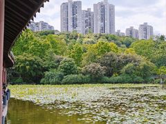 -龙头寺公园