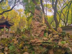 -天一阁博物院