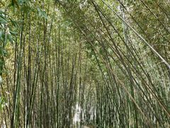 -河南省黄河迎宾馆