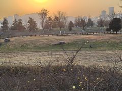 -汉长安城未央宫国家考古遗址公园