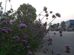 -南通洲际绿博园