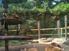 -沈阳森林动物园