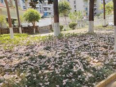 -民盈·国贸城