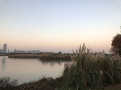 -三垟湿地