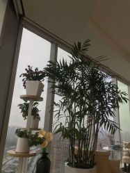 -久匠半永久纹眉