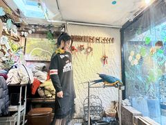 -吉丁鸟咖·异宠·寄养