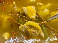 -金龙·打边炉(南京西路店)