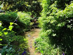 -中国茶叶博物馆(双峰馆区)