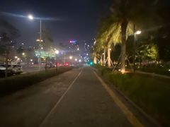 -留仙洞(地铁站)