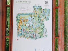 -上海共青森林公园