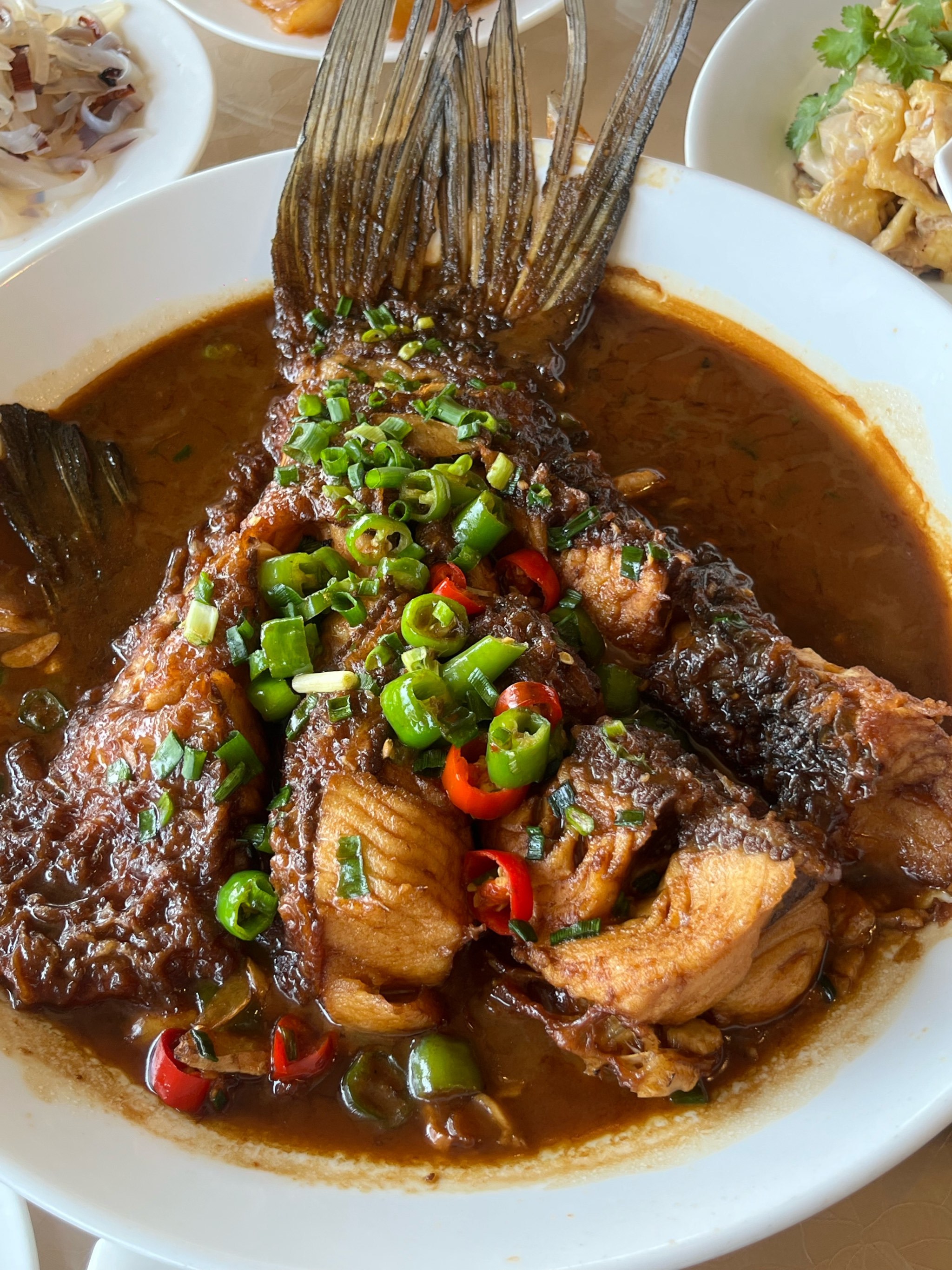 宁波打工人的充电站🔋