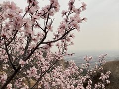 -北京凤凰岭