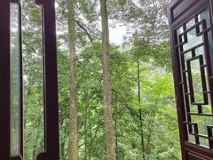 -青城山