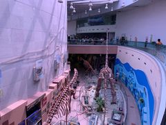 -陕西自然博物馆