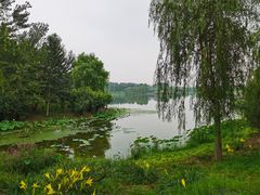 -东郊湿地公园