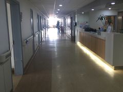 -上海市普陀区中心医院