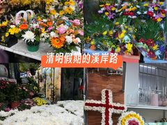 -溪岸路花鸟市场