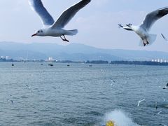 -海埂大坝