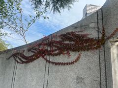 -阿露佳·舌尖上的安吉菜