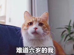 -自贡好吃客(科华店)