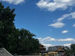 -Sirena海妖日咖夜酒