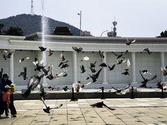 -大连人民广场