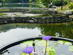 -云溪植物园