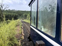 -莫尔道嘎国家森林公园