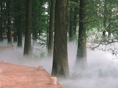 -东湖落雁景区
