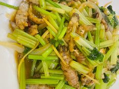 -福建美食城(老君堂店)