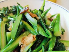 -港逸轩茶餐厅