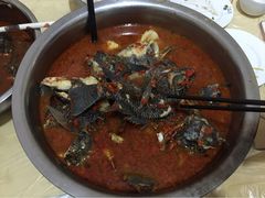风鑫铃罗非鱼-风鑫铃罗非鱼(道沟店)