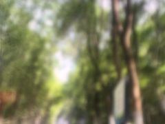 -合肥野生动物园