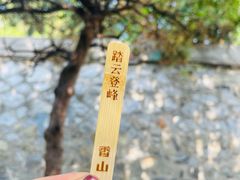 -香山公园