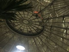 -上海南站
