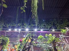 -萌宠奇缘(荣鼎店)