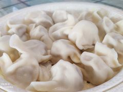 酸菜鲜肉-北方北手工饺子坊(北京路店)