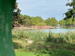 -尚贤河湿地