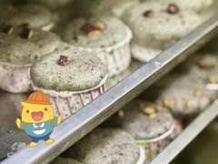 -奇乐全日制婴儿学校·早教