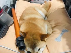 -About Bistro關於·泰式家庭料理