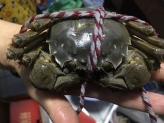 -七的湖·晚芳亭·阳澄湖农家菜·大闸蟹(莲花岛店)