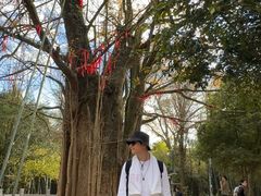 -西湖风景区十里琅珰-五云山