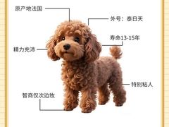 -联合动物医院(光谷诊疗中心)