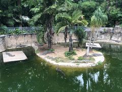 -深圳野生动物园