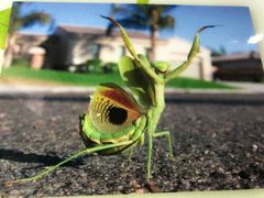 -上海昆虫博物馆