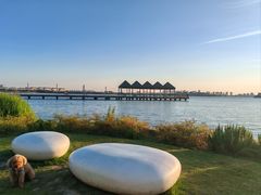 -金鸡湖景区