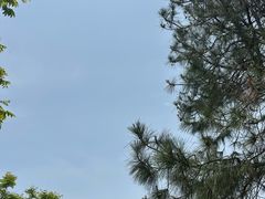 -缥缈峰景区