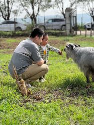 -DORA kids 朵拉儿童摄影花园店