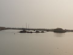 -太湖湖滨国家湿地公园-停车场