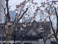 -静安雕塑公园